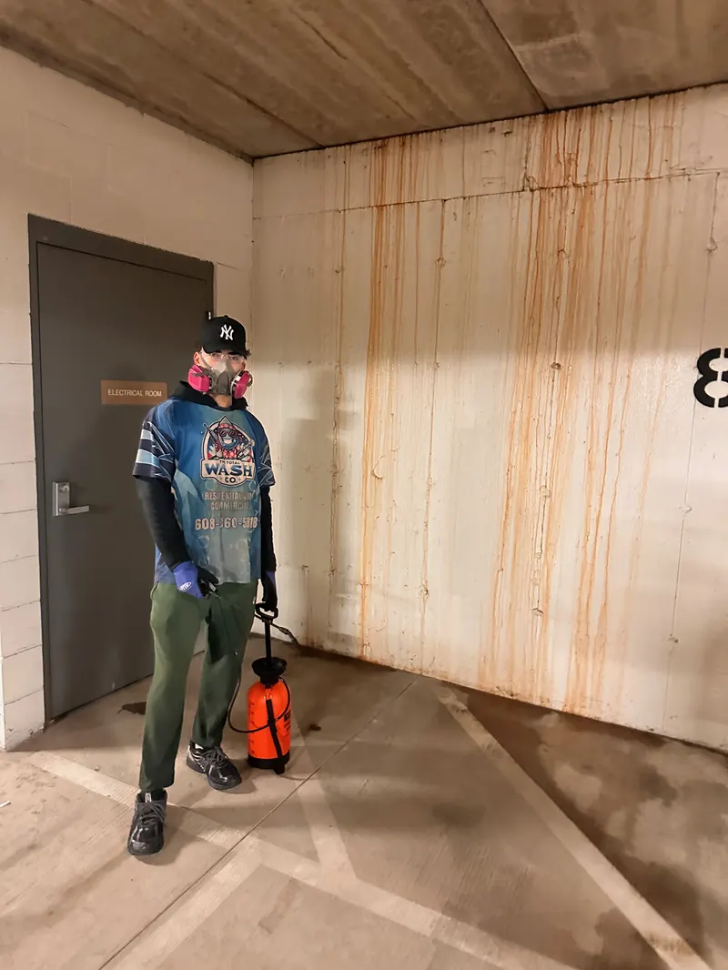 Bird Dropping Removal by The Total Wash Co. in Madison, WI