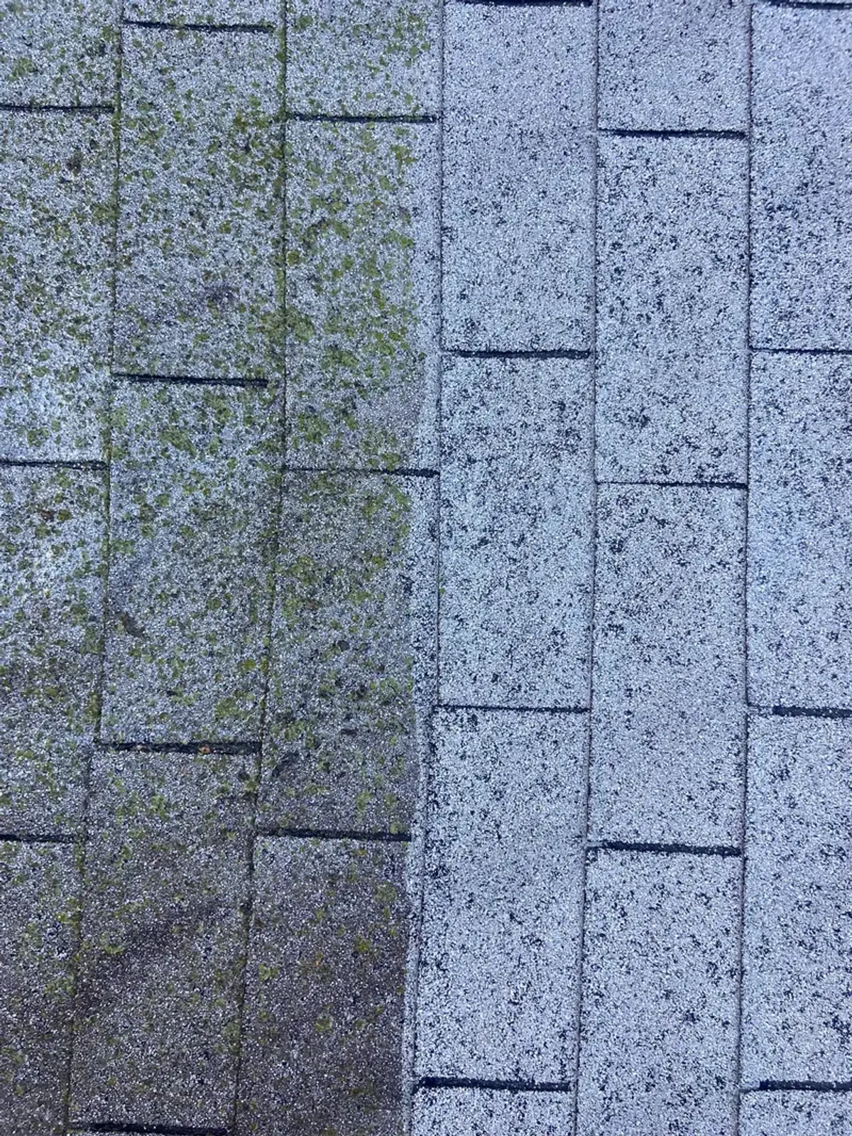 Roof Cleaning