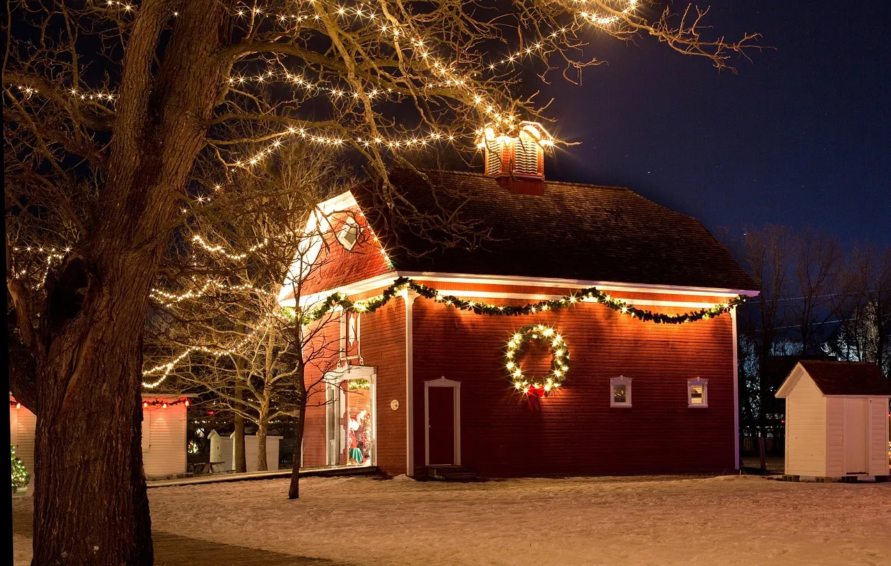 Commercial Holiday Light Installation in Madison, WI