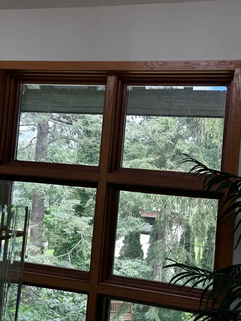 Window Cleaning