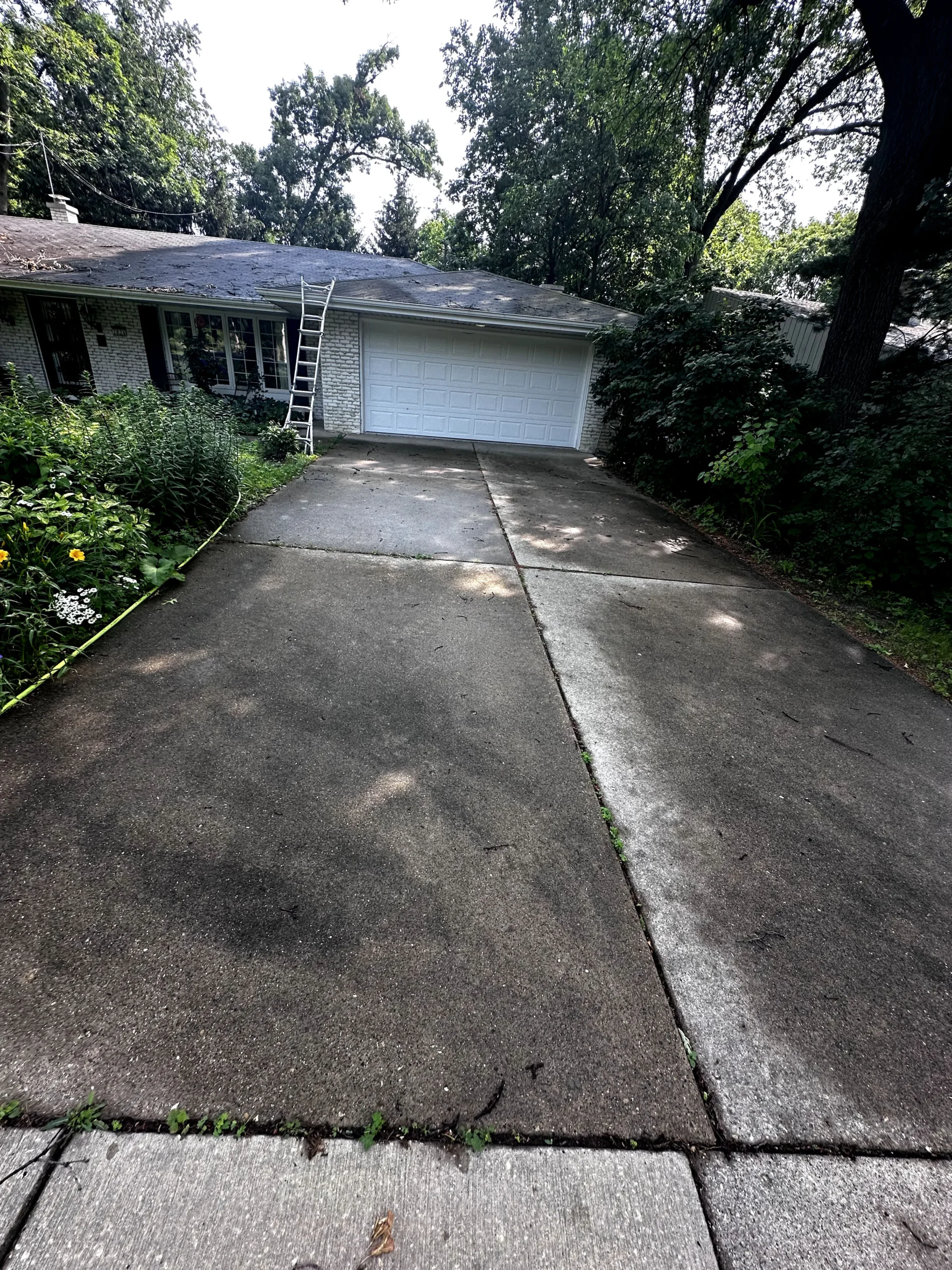 Driveway Cleaning Before